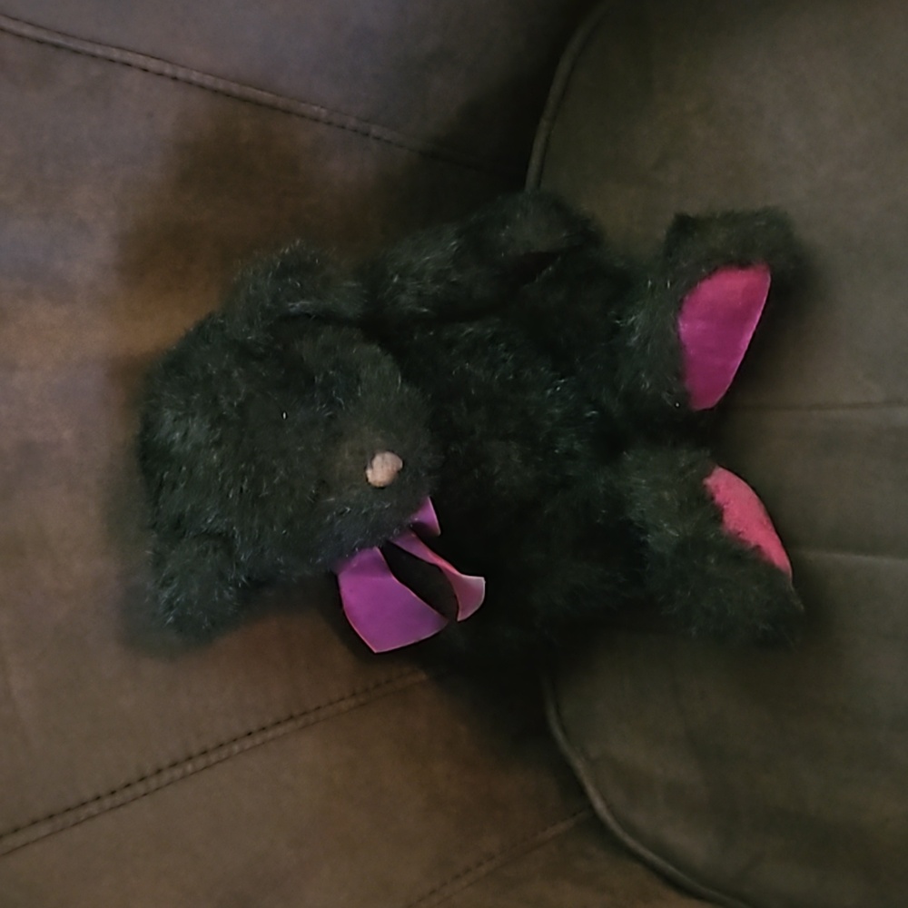 Bombay Company Limited Edition Brown Bear Stuffed Plush Wilson